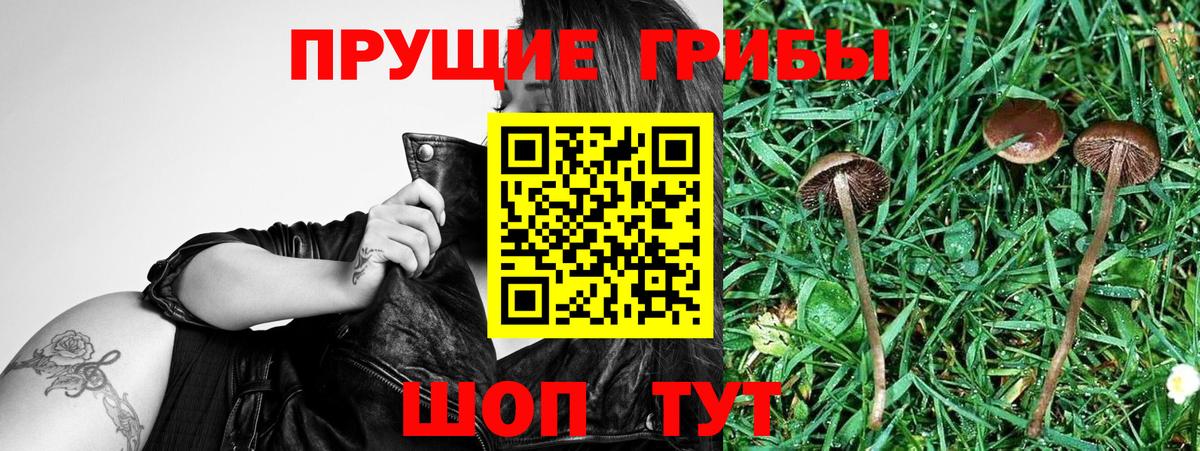 Псилоцибиновые грибы мухоморы Тобольск