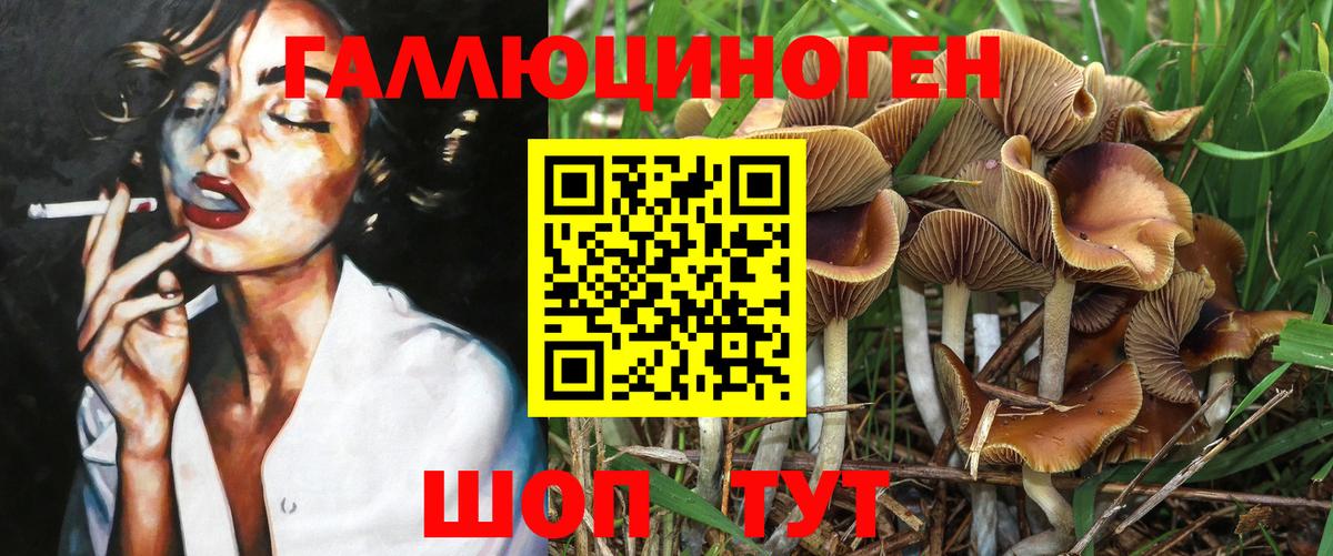 Псилоцибиновые грибы Psilocybine cubensis  Вход с VPN  Тобольск 